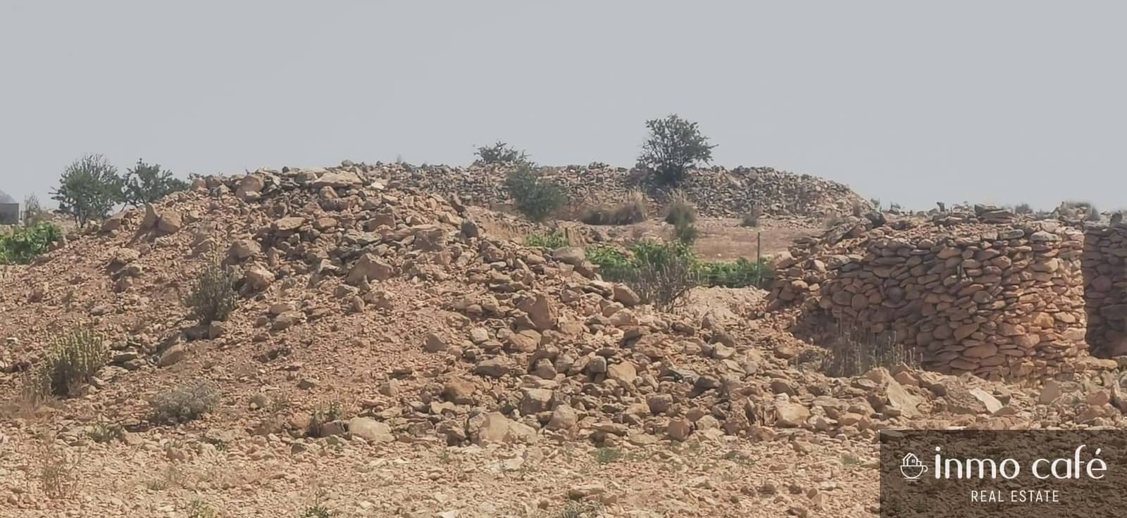 Terreno/Finca Rústica en Pinoso en venta - 55.000 € (Ref: 9107877)