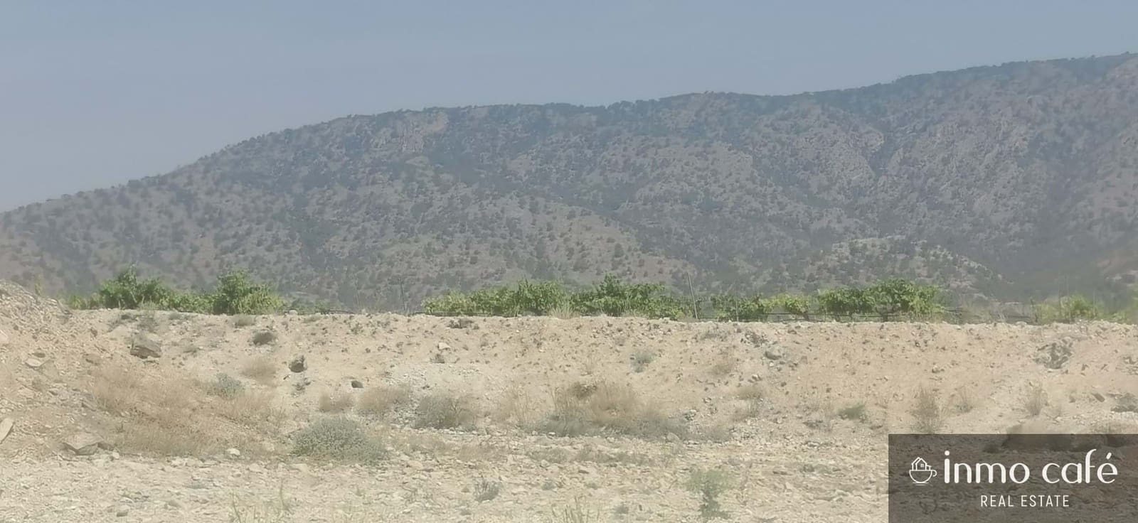 Terreno/Finca Rústica en Pinoso en venta - 55.000 € (Ref: 9107877)