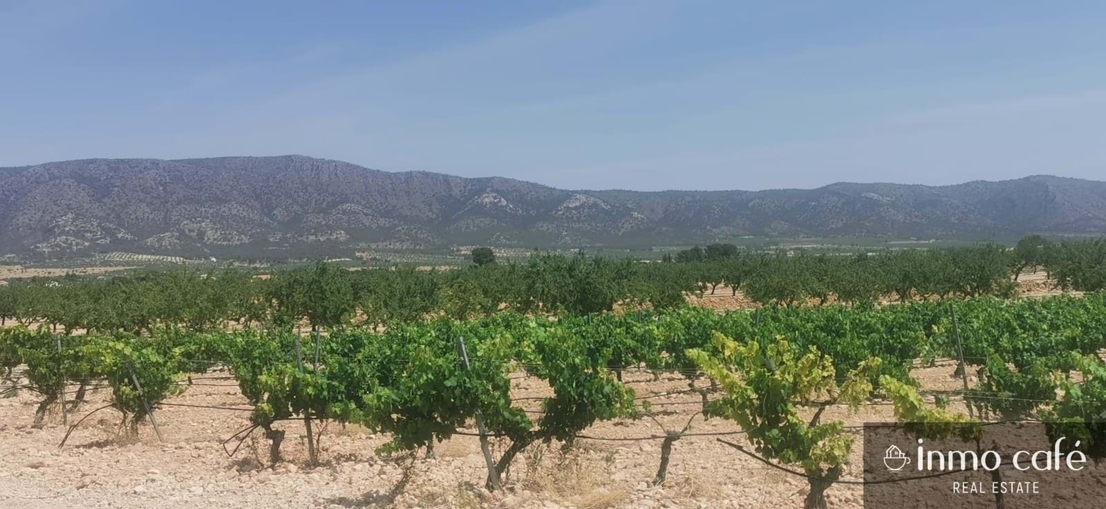 Terreno/Finca Rústica en Pinoso en venta - 55.000 € (Ref: 9107877)