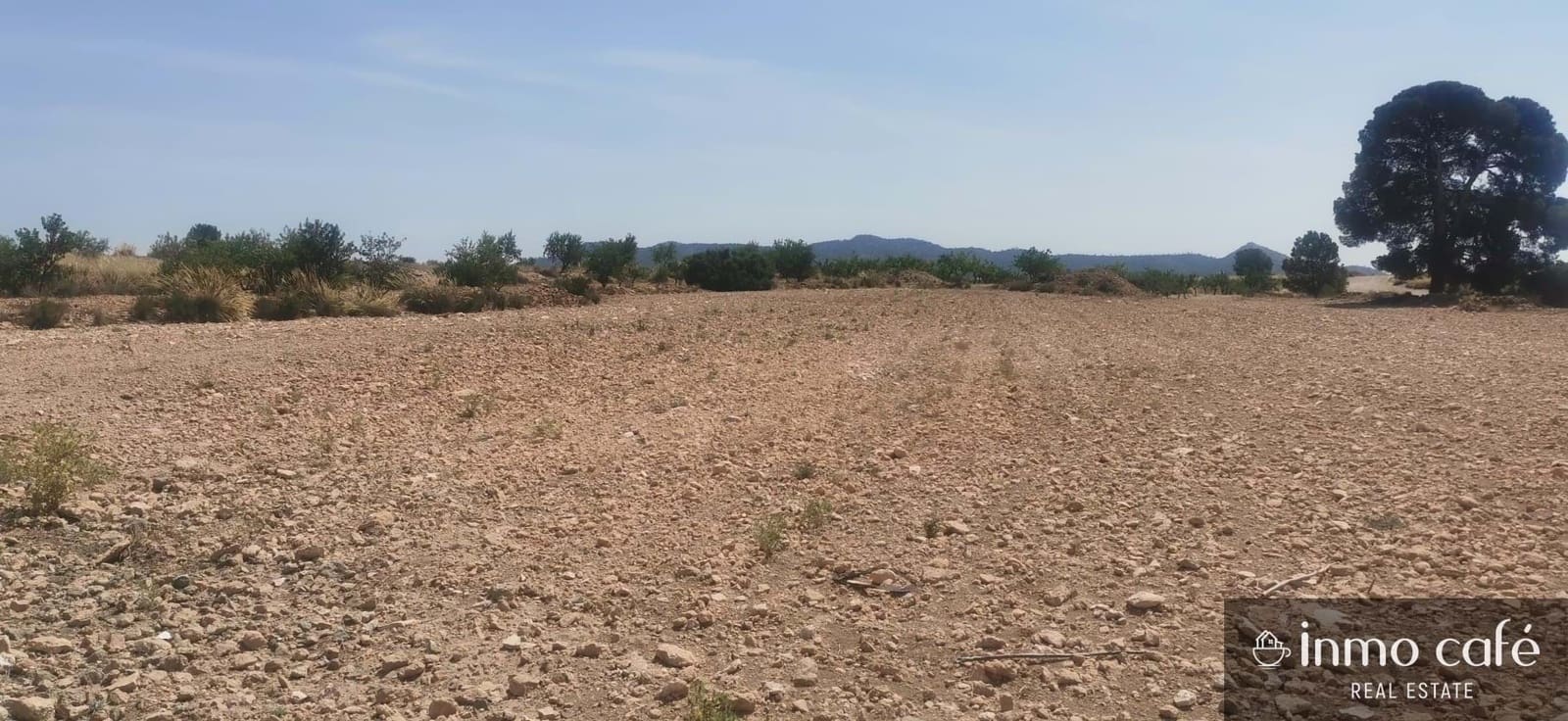 Terreno/Finca Rústica en Pinoso en venta - 55.000 € (Ref: 9107877)