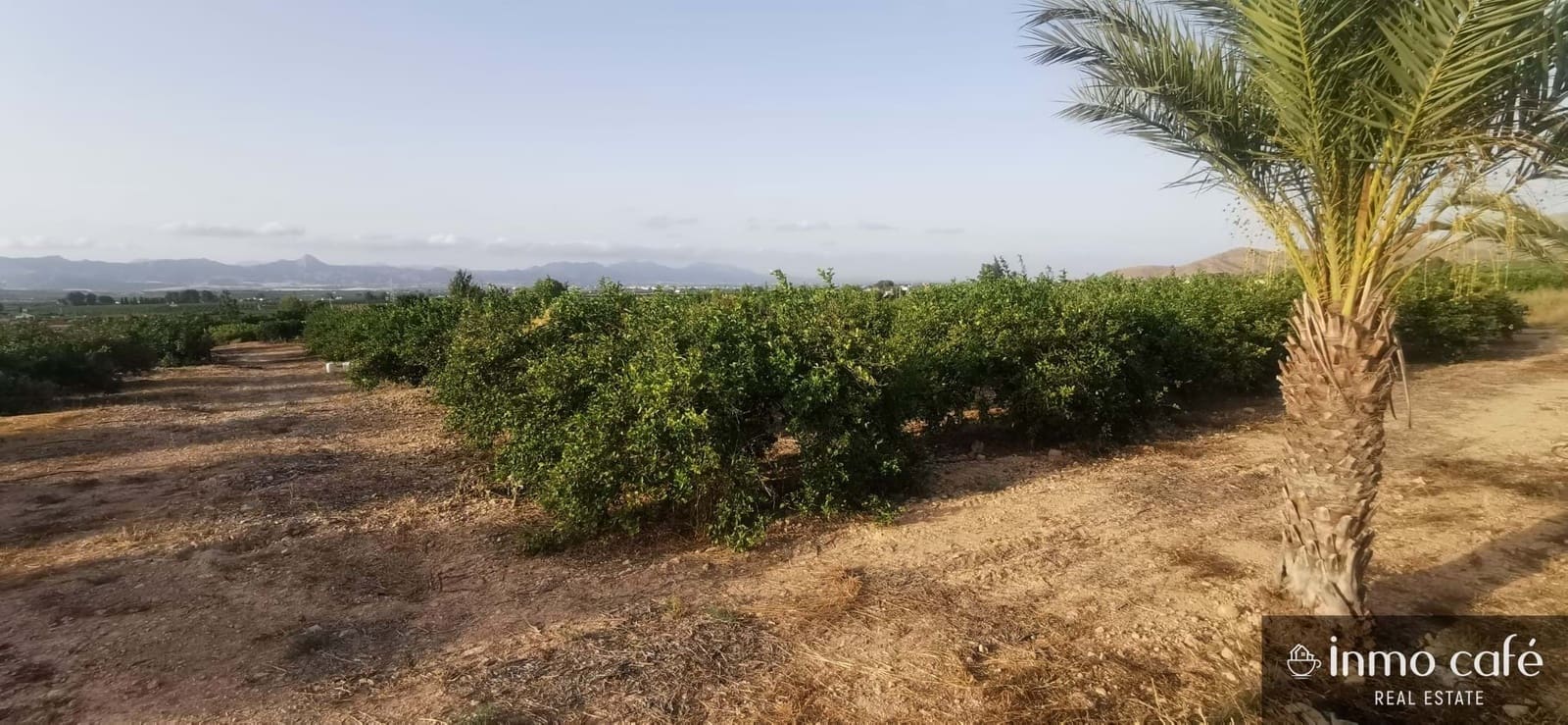 4 slaapkamer Finca/Landhuis te koop in Orihuela met zwembad - € 260.000 (Ref: 9143784)