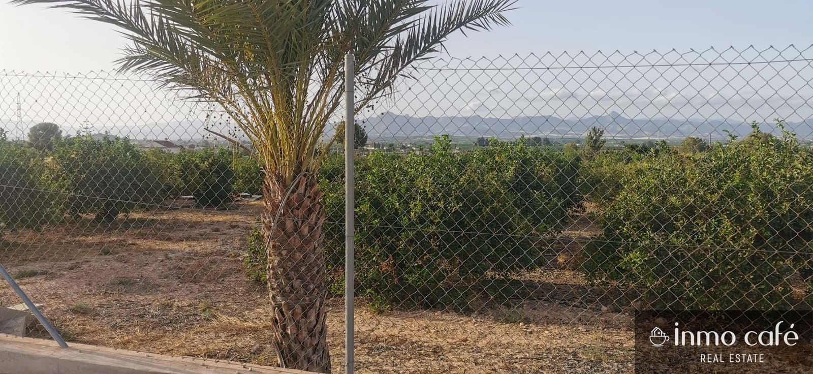 4 slaapkamer Finca/Landhuis te koop in Orihuela met zwembad - € 260.000 (Ref: 9143784)