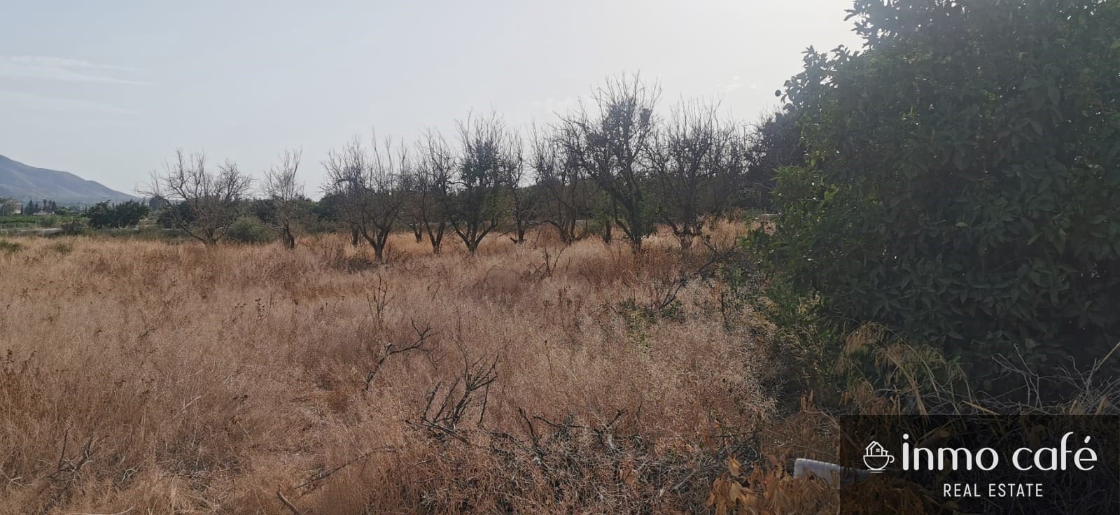 Terreno/Finca Rústica en Benferri en venta - 48.000 € (Ref: 9163368)