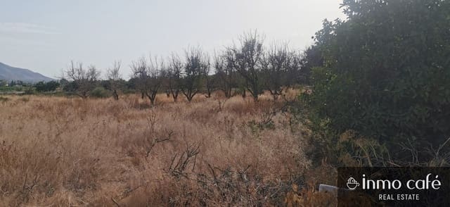 Landgrundstück zu verkaufen in Benferri - 48.000 € (Ref: 9163368)