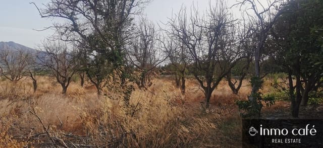 Landgrundstück zu verkaufen in Benferri - 48.000 € (Ref: 9163368)