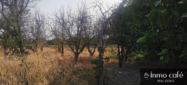 Landgrundstück zu verkaufen in Benferri - 48.000 € (Ref: 9163368)