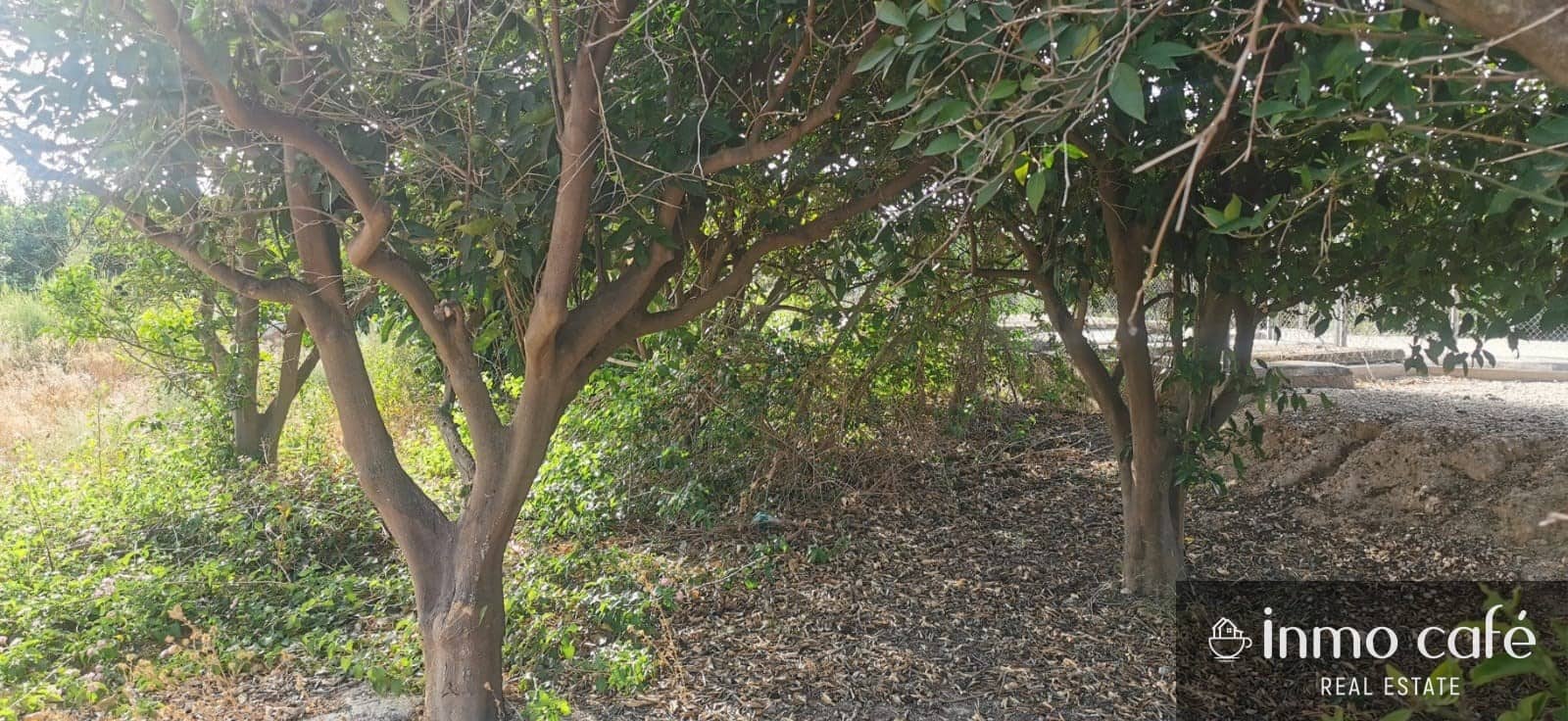 Terreno/Finca Rústica en Benferri en venta - 48.000 € (Ref: 9163368)