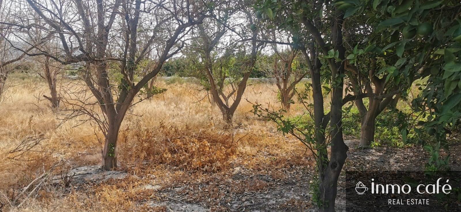 Terreno/Finca Rústica en Benferri en venta - 48.000 € (Ref: 9163368)