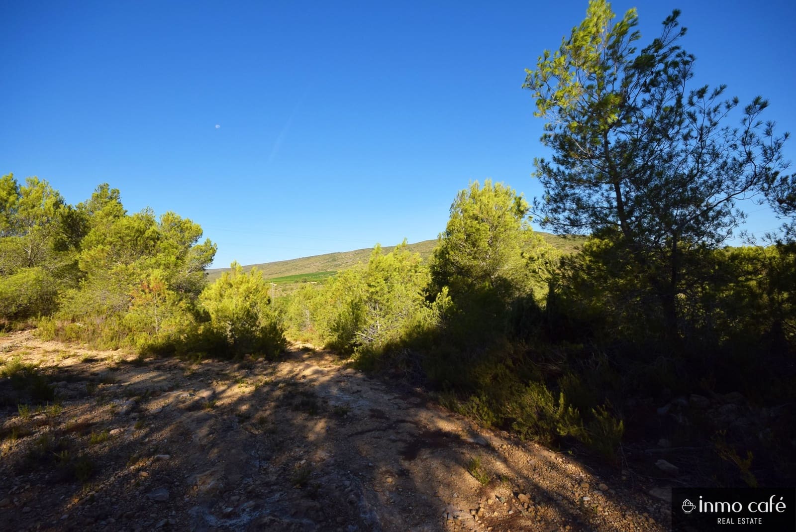 Grond te koop in L'Alcudia de Crespins - € 120.000 (Ref: 9201832)