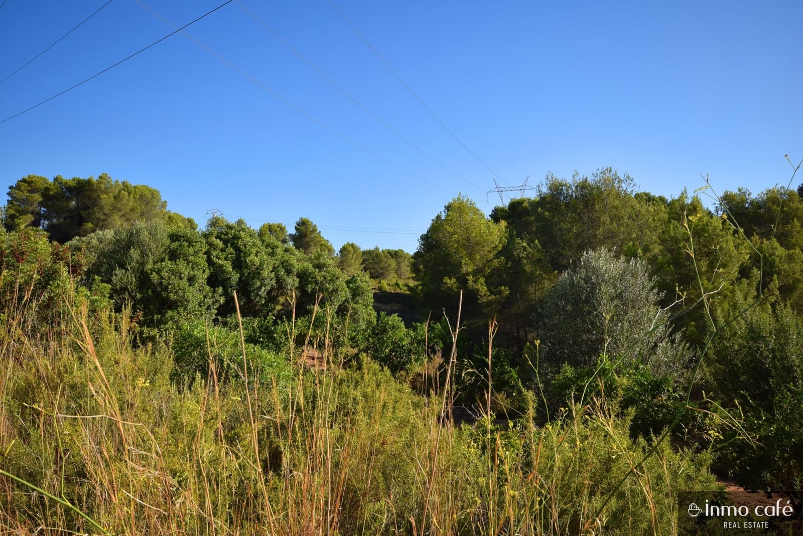 Grond te koop in L'Alcudia de Crespins - € 120.000 (Ref: 9201832)