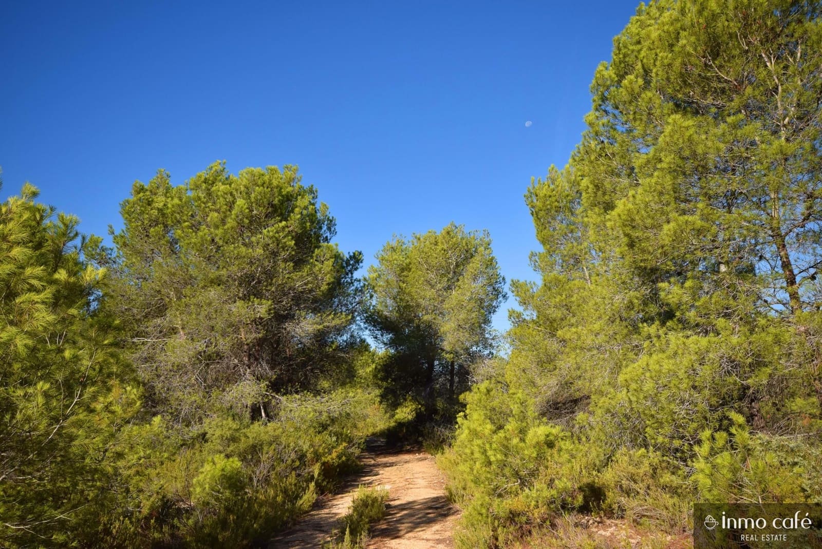 Grond te koop in L'Alcudia de Crespins - € 120.000 (Ref: 9201832)