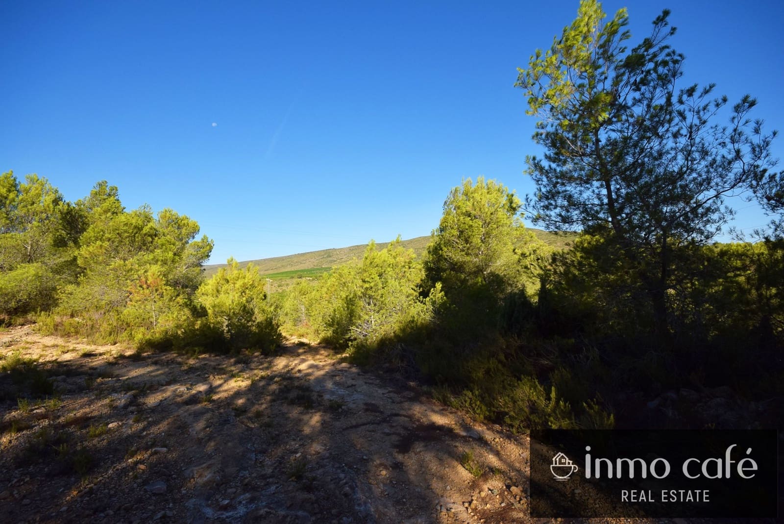 Rakentamaton maa myytävänä paikassa L'Alcudia de Crespins - 120 000 € (Ref: 9201832)