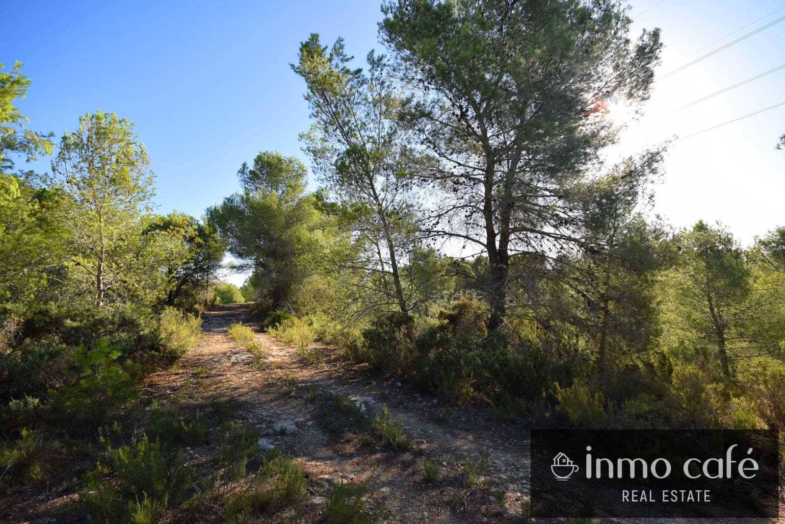 Rakentamaton maa myytävänä paikassa L'Alcudia de Crespins - 120 000 € (Ref: 9201832)