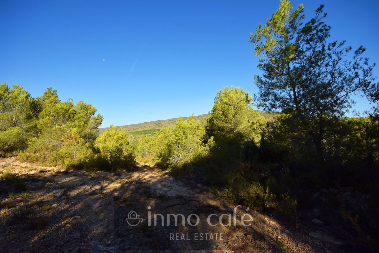 Rakentamaton maa myytävänä paikassa L'Alcudia de Crespins - 120 000 € (Ref: 9201832)