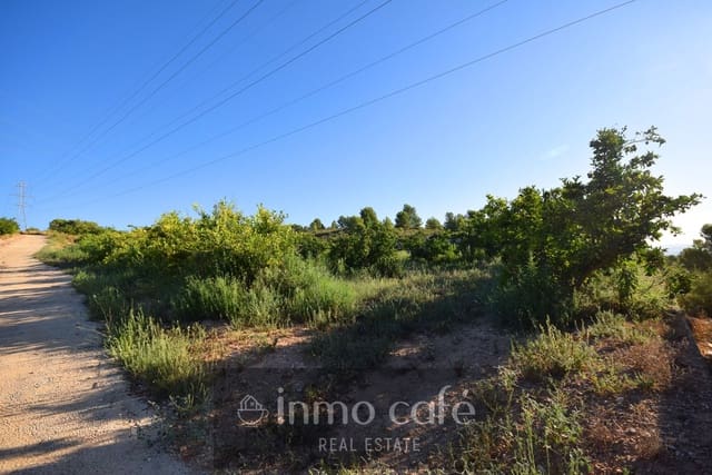 Mark till salu i L'Alcúdia de Crespins - 120 000 € (Ref: 9201832)