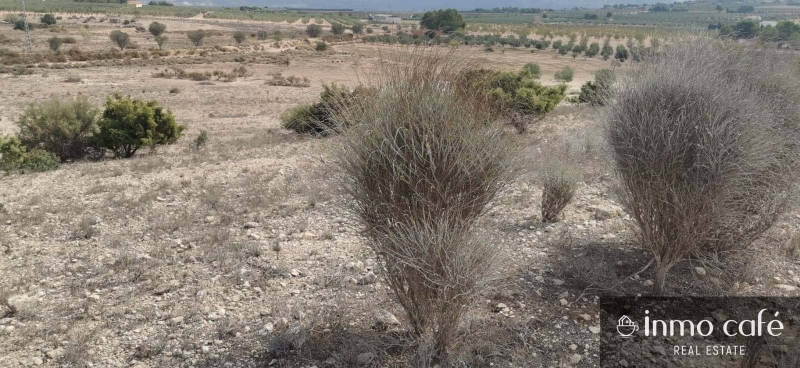Rakentamaton maa myytävänä paikassa Salinas - 105 000 € (Ref: 9269050)