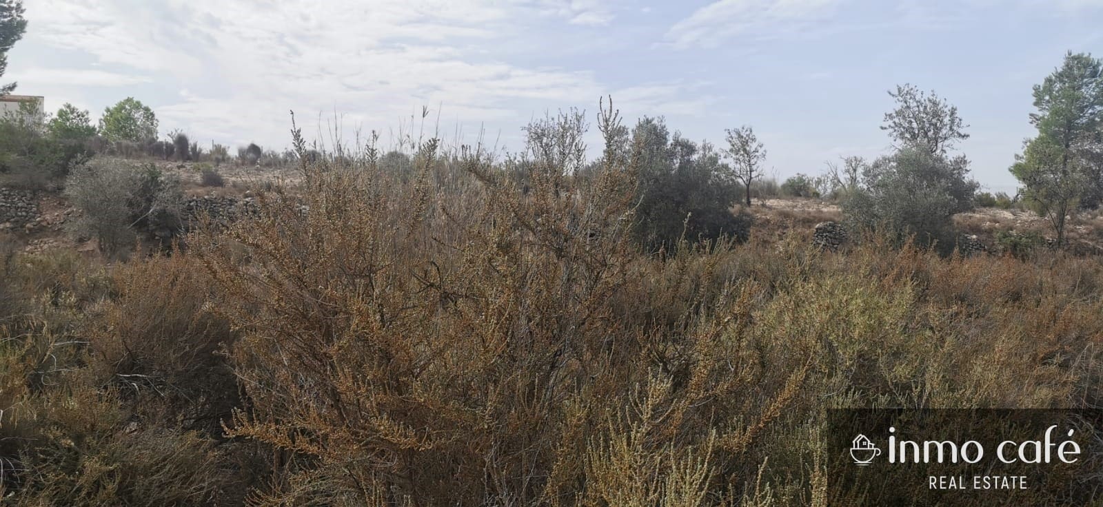 Rakentamaton maa myytävänä paikassa Salinas - 105 000 € (Ref: 9269050)