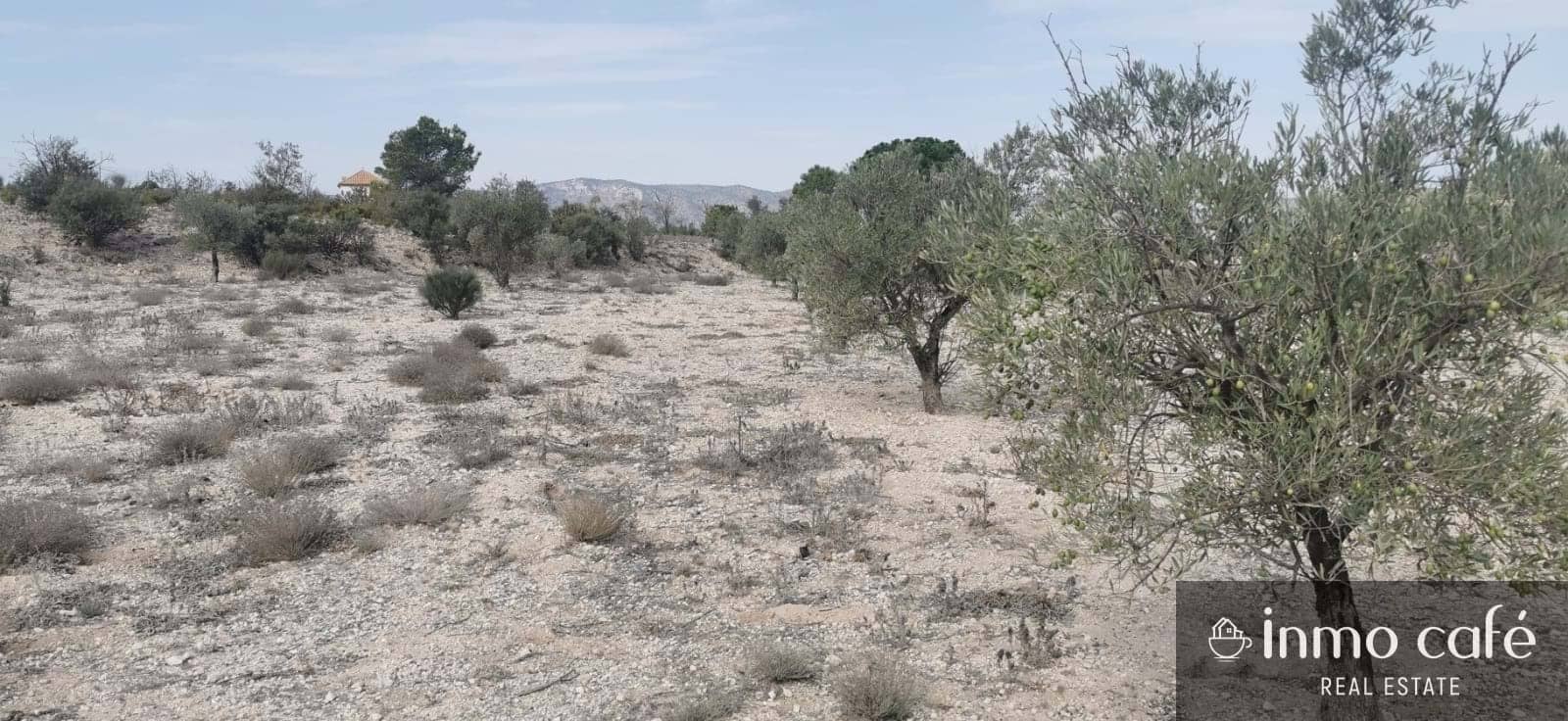 Rakentamaton maa myytävänä paikassa Salinas - 105 000 € (Ref: 9269050)