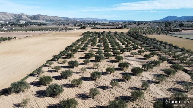 Byggegrund til salg i Villena - € 200.000 (Ref: 9665467)