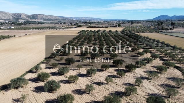 Grunde uden byggetilladelser til salg i Villena - € 170.000 (Ref: 9665467)