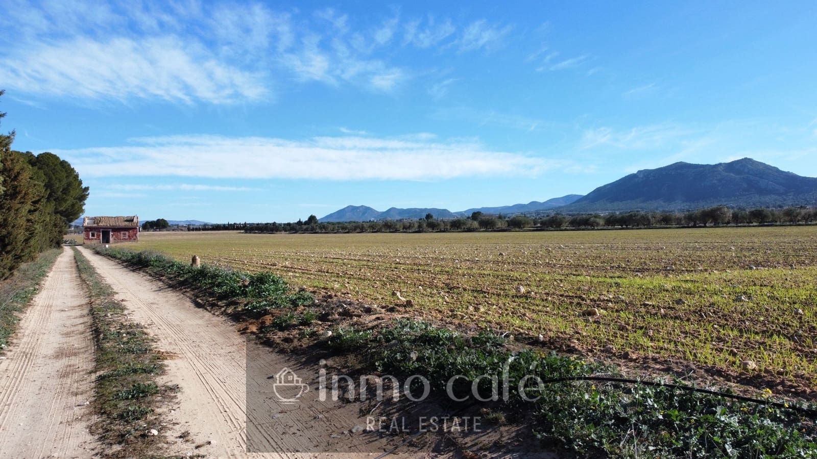 Undeveloped Land for sale in Villena - € 170,000 (Ref: 9665467)