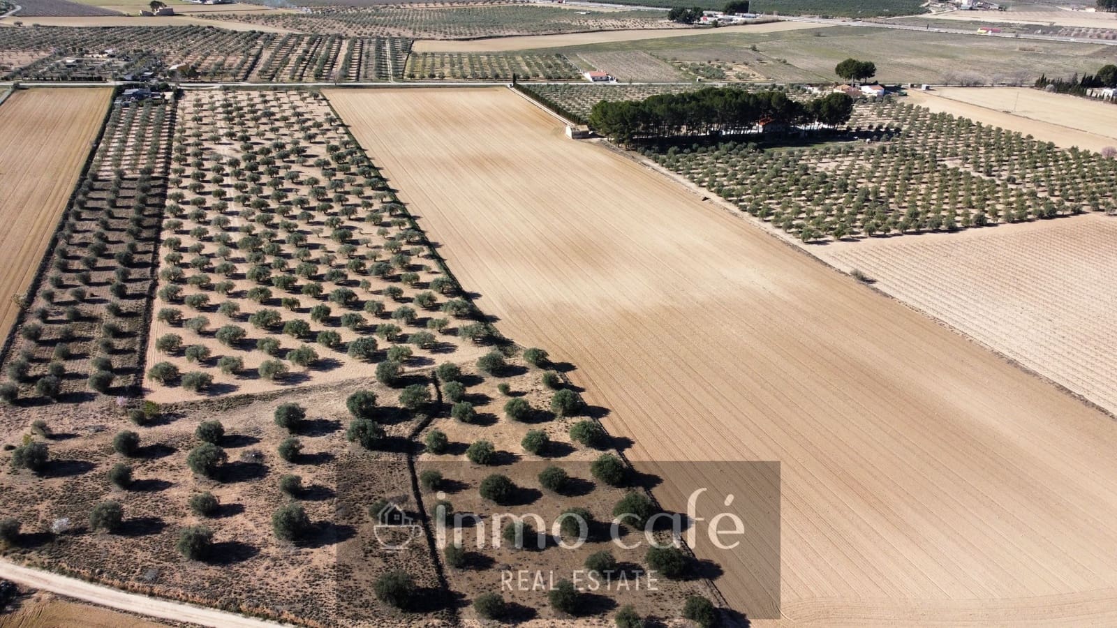 Undeveloped Land for sale in Villena - € 170,000 (Ref: 9665467)