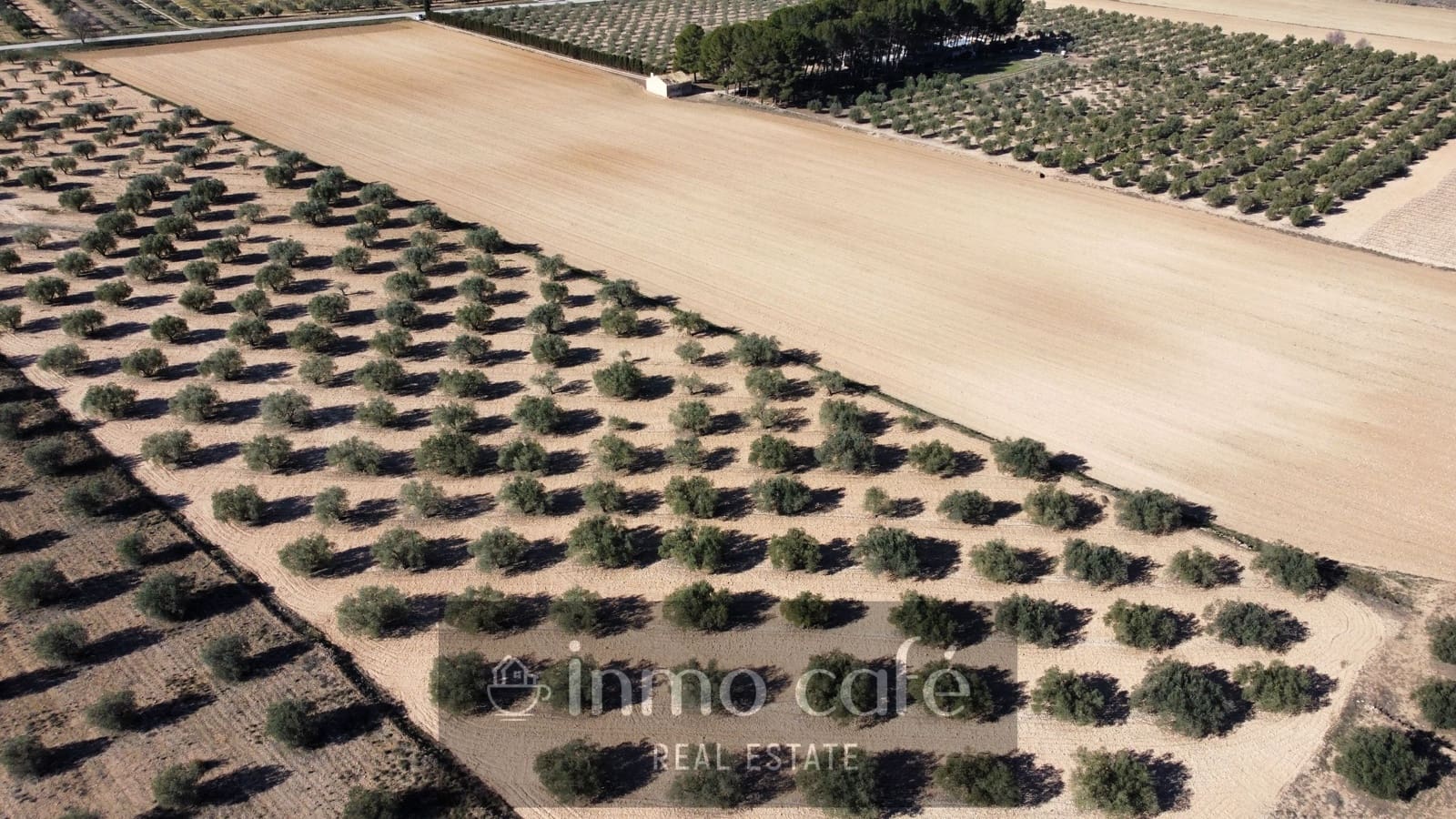 Undeveloped Land for sale in Villena - € 170,000 (Ref: 9665467)