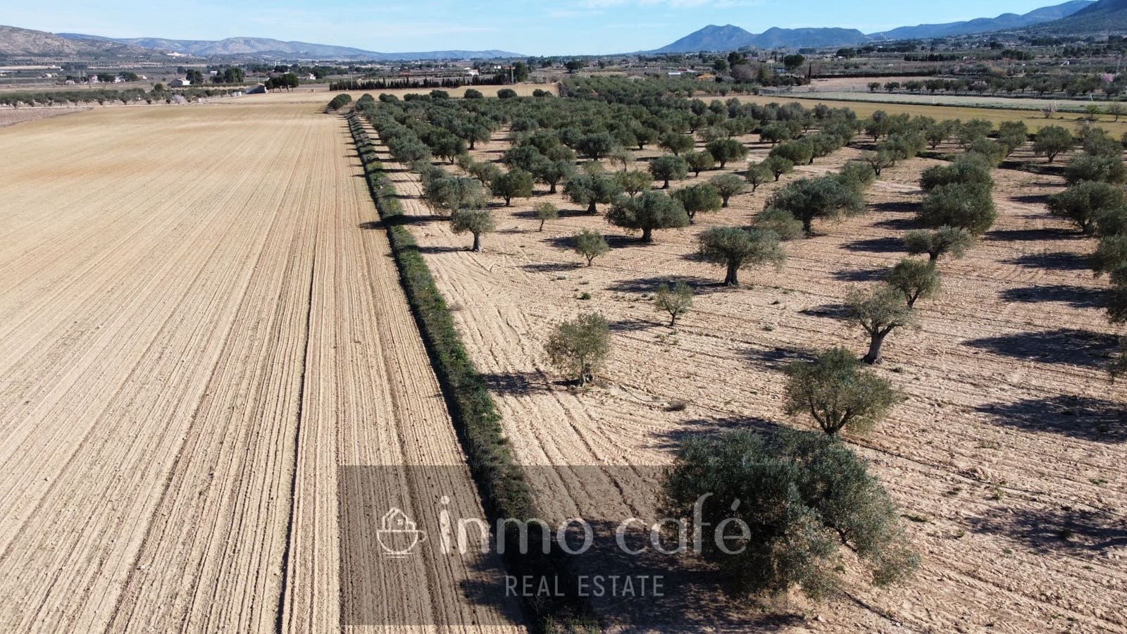 Undeveloped Land for sale in Villena - € 170,000 (Ref: 9665467)