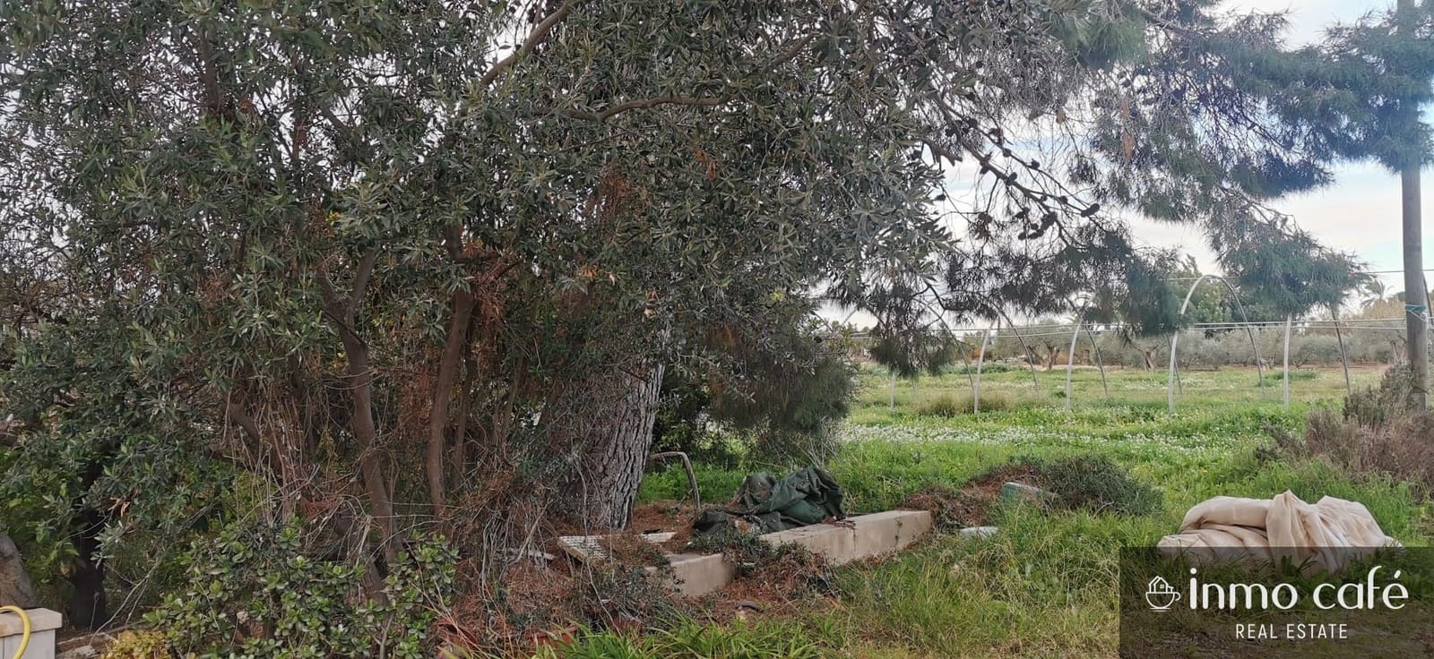 4 soverom Finca/Herregård til salgs i Elche / Elx med svømmebasseng - € 380 000 (Ref: 9786948)