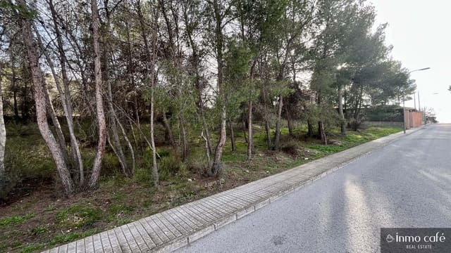 Area Edificabile in vendita in Cañada - 69.600 € (Rif: 9786950)