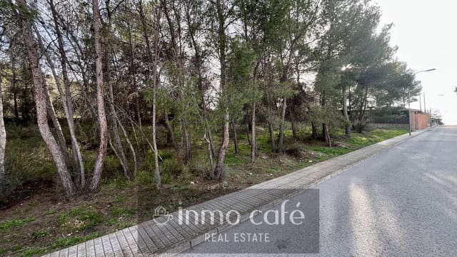 Bauplatz zu verkaufen in Cañada - 61.000 € (Ref: 9786950)