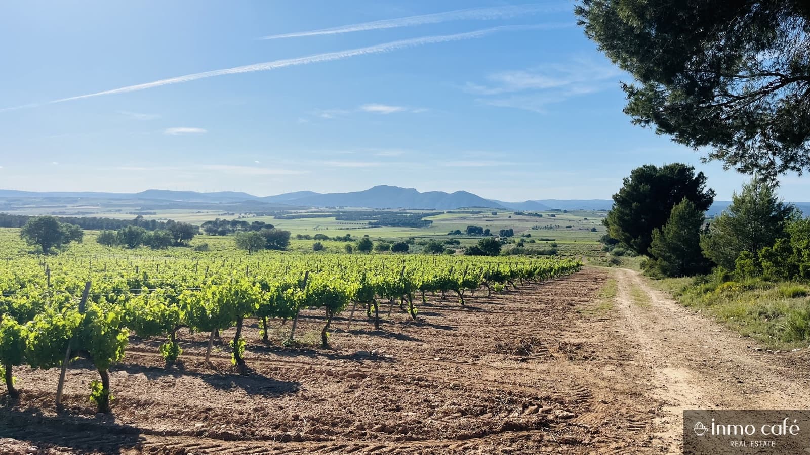 4 soveværelse Finca/Landehus til salg i Fontanars dels Alforins - € 2.200.000 (Ref: 9866173)
