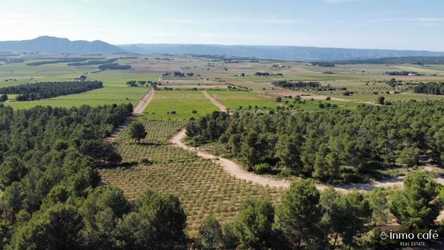4 soveværelse Finca/Landehus til salg i Fontanars dels Alforins - € 2.200.000 (Ref: 9866173)