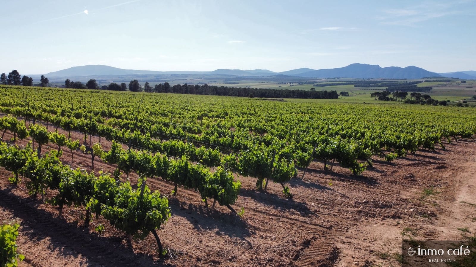 4 soveværelse Finca/Landehus til salg i Fontanars dels Alforins - € 2.200.000 (Ref: 9866173)