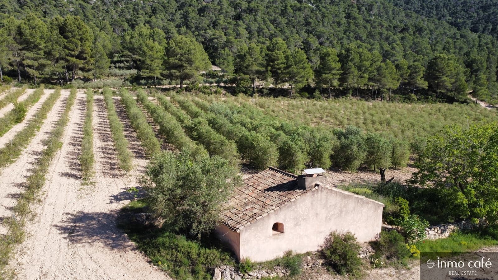 4 soveværelse Finca/Landehus til salg i Fontanars dels Alforins - € 2.200.000 (Ref: 9866173)