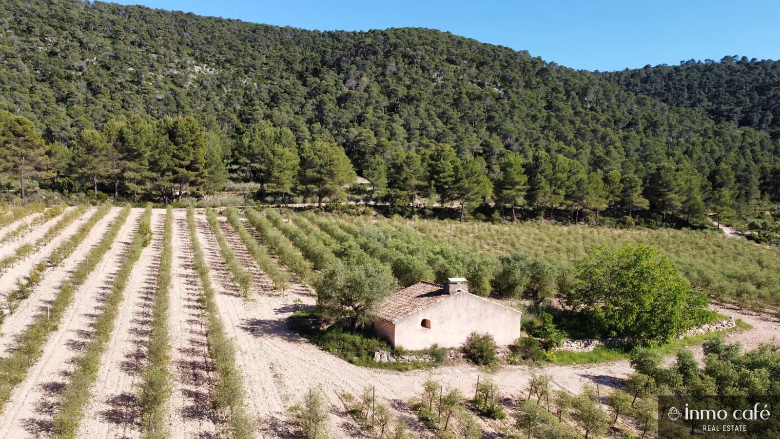 4 soveværelse Finca/Landehus til salg i Fontanars dels Alforins - € 2.200.000 (Ref: 9866173)