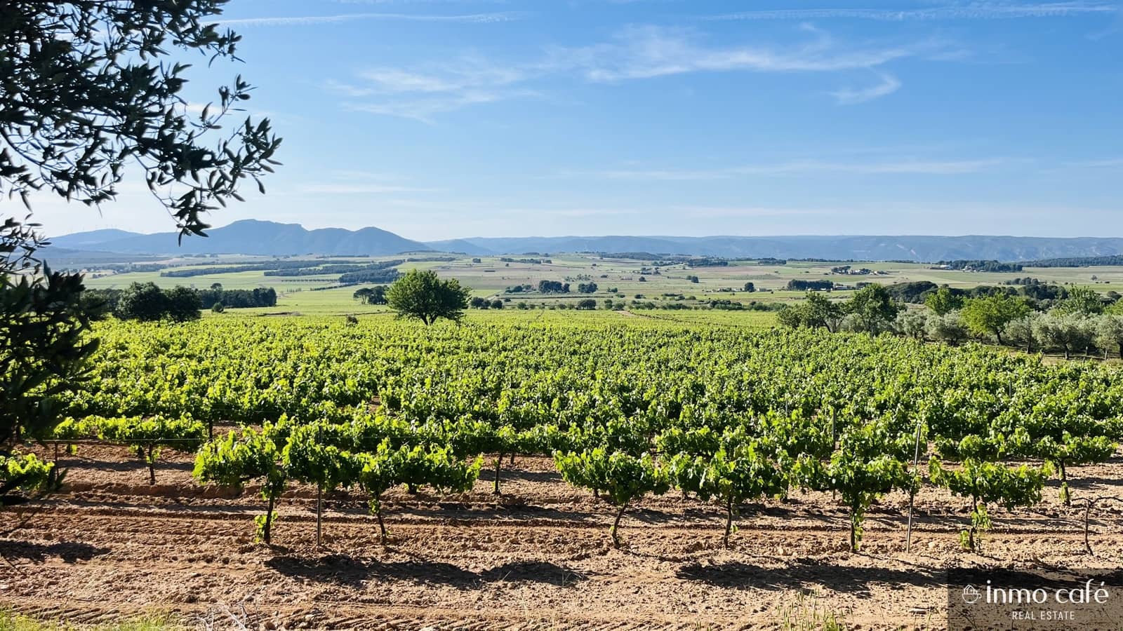4 soveværelse Finca/Landehus til salg i Fontanars dels Alforins - € 2.200.000 (Ref: 9866173)