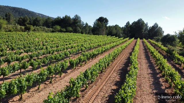 4 soveværelse Finca/Landehus til salg i Fontanars dels Alforins - € 2.200.000 (Ref: 9866173)