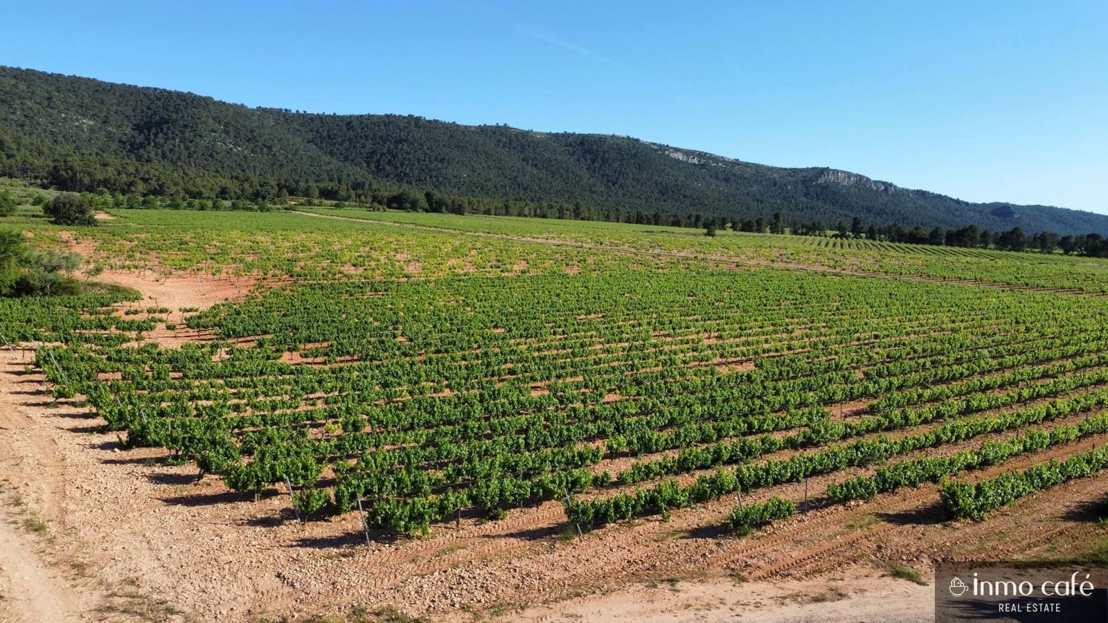 4 soveværelse Finca/Landehus til salg i Fontanars dels Alforins - € 2.200.000 (Ref: 9866173)
