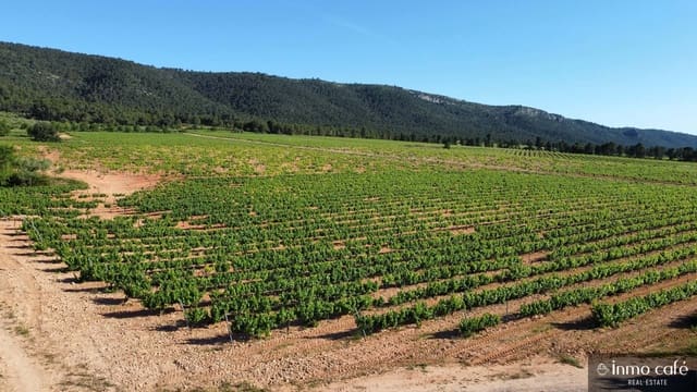 4 soveværelse Finca/Landehus til salg i Fontanars dels Alforins - € 2.200.000 (Ref: 9866173)