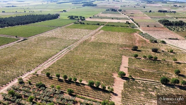 4 soveværelse Finca/Landehus til salg i Fontanars dels Alforins - € 2.200.000 (Ref: 9866173)