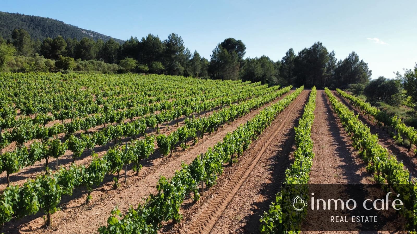 4 chambre Finca/Maison de Campagne à vendre à Fontanars dels Alforins - 2 200 000 € (Ref: 9866173)