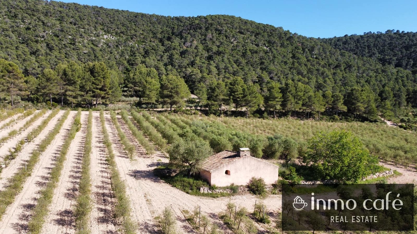 4 chambre Finca/Maison de Campagne à vendre à Fontanars dels Alforins - 2 200 000 € (Ref: 9866173)