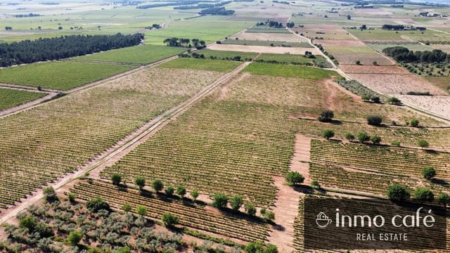 4 slaapkamer Finca/Landhuis te koop in Fontanars dels Alforins - € 2.200.000 (Ref: 9866173)