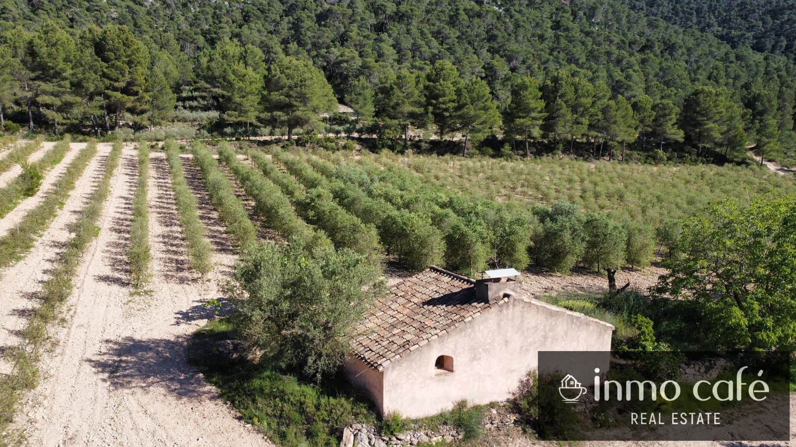 4 chambre Finca/Maison de Campagne à vendre à Fontanars dels Alforins - 2 200 000 € (Ref: 9866173)