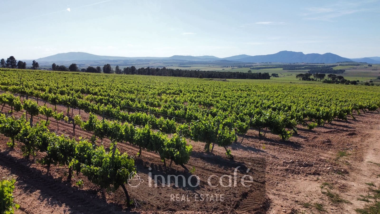 4 bedroom Finca/Country House for sale in Fontanars dels Alforins - € 2,200,000 (Ref: 9866173)