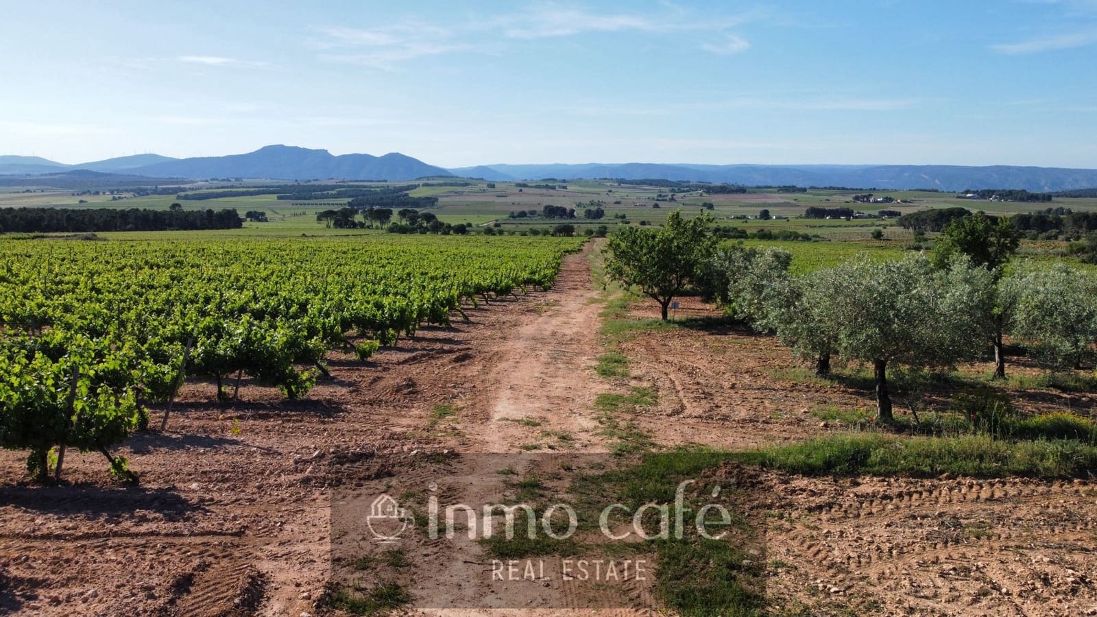 4 bedroom Finca/Country House for sale in Fontanars dels Alforins - € 2,200,000 (Ref: 9866173)