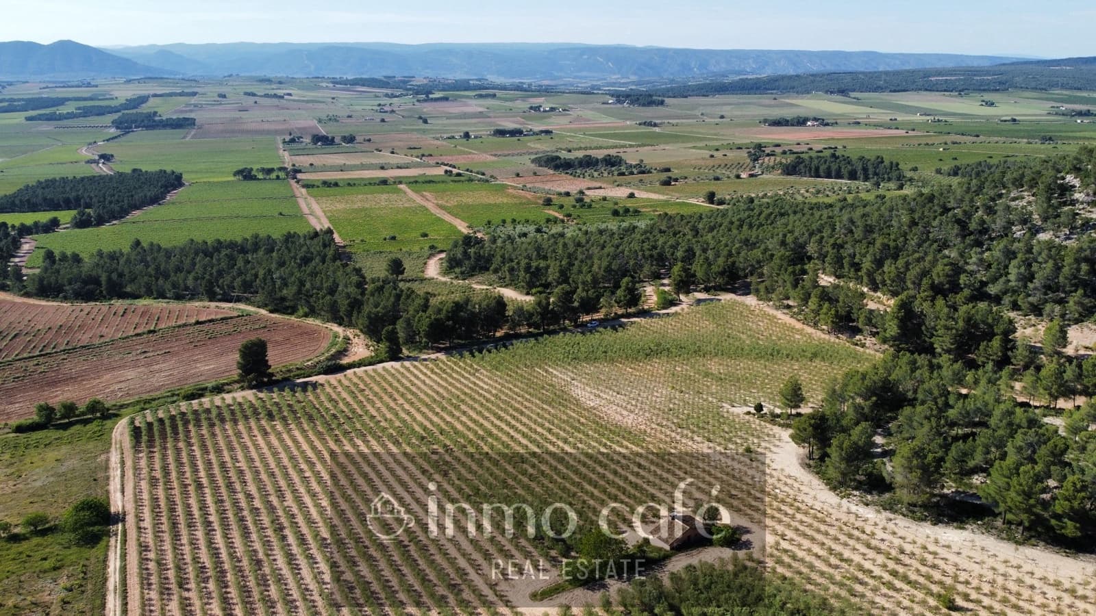4 bedroom Finca/Country House for sale in Fontanars dels Alforins - € 2,200,000 (Ref: 9866173)