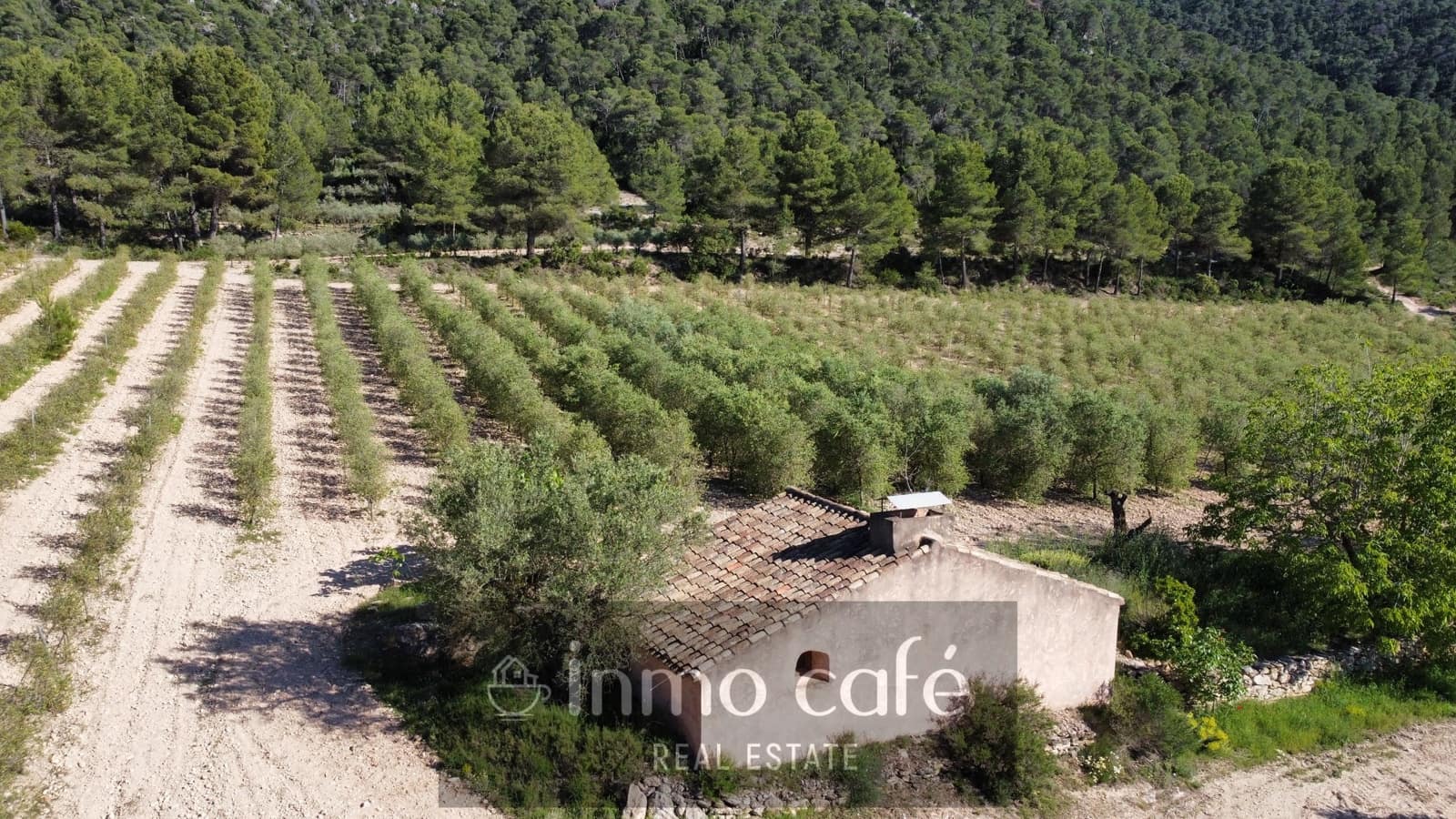 4 bedroom Finca/Country House for sale in Fontanars dels Alforins - € 2,200,000 (Ref: 9866173)