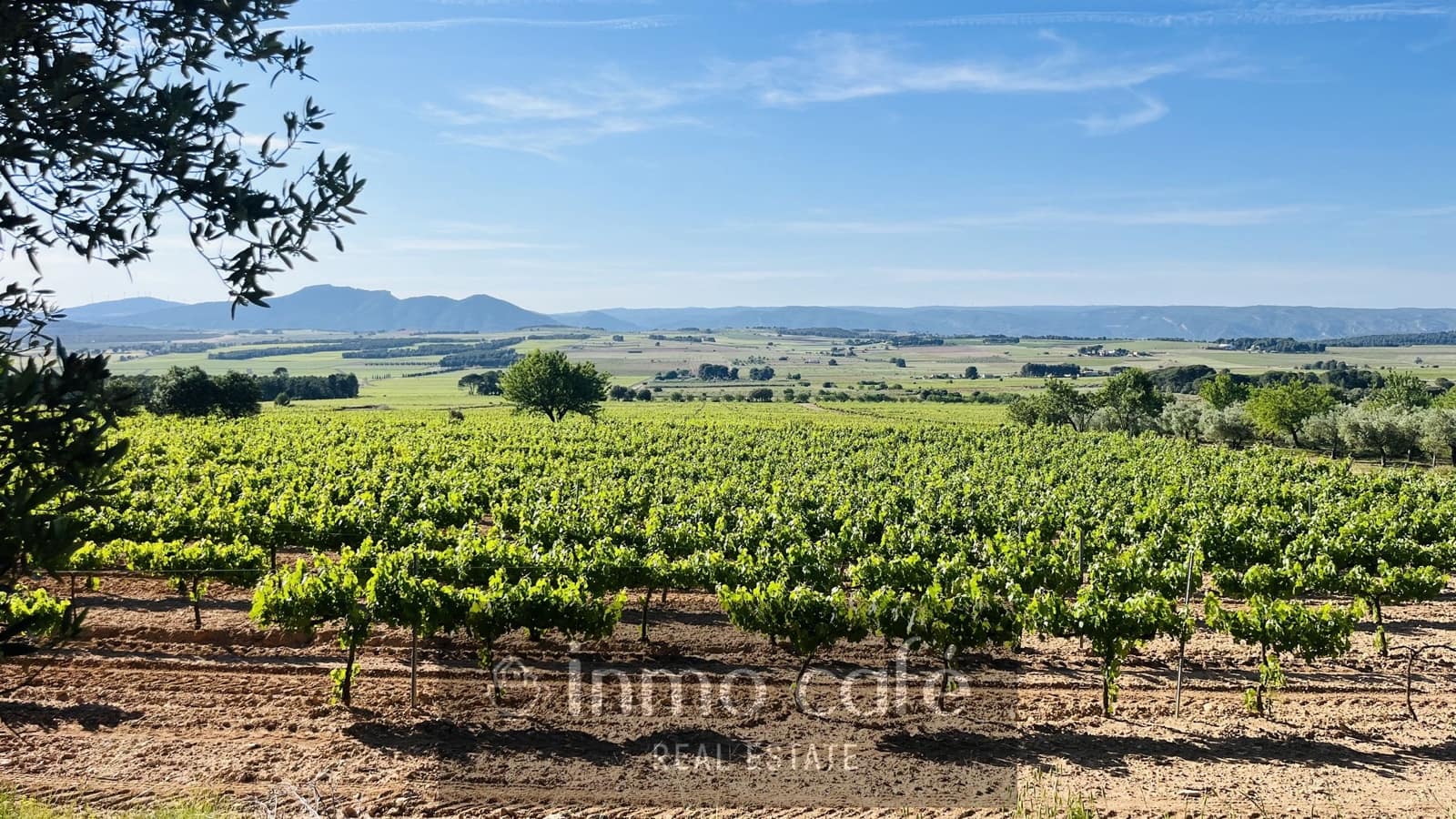 4 bedroom Finca/Country House for sale in Fontanars dels Alforins - € 2,200,000 (Ref: 9866173)